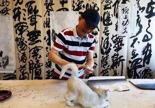 崔永元爆料最新视频,揭露娱乐圈惊人内幕